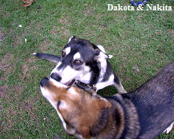 Dakota & Nakita