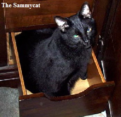 The Sammycat